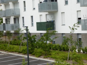 750 m² Briques BlocStar Am90 à maçonner Parement Antracite Clivé / Joint horizontal à Sec de 10 mm