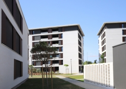 Grand-Angle, Zac-Andromède à Blagnac : G.G.R. Architecte (31) Altarea Cogedim (31) – 5850m² Briques BlocStar Am90 et Am 180