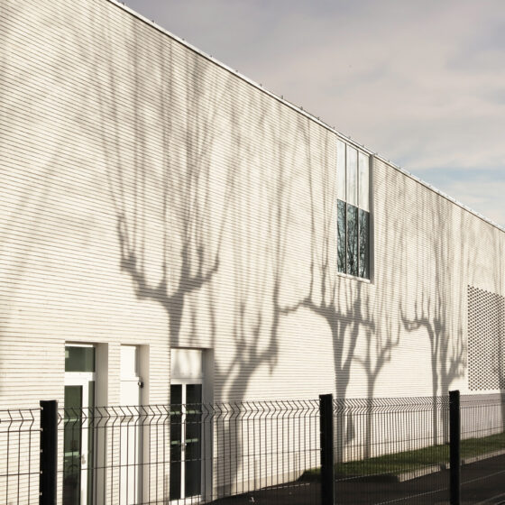 Collège Léon Cazeneuve à Isle en Dodon (31) - C+2B Architecture (31) - 2500 m² de Briques BlocStar Am90