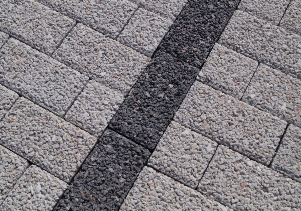 Pavé drainant Coquillages