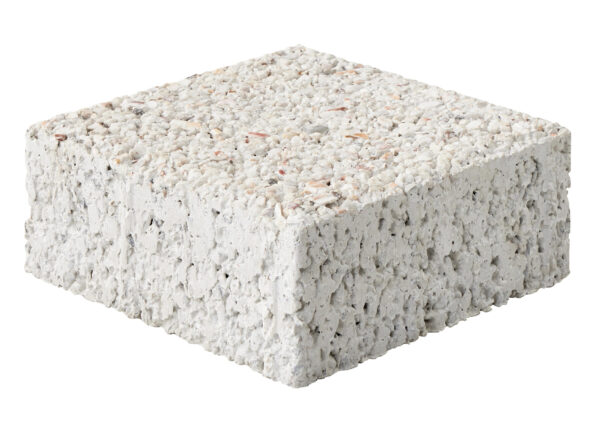 Pavé drainant Coquillages