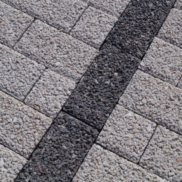 Pavé drainant Coquillages