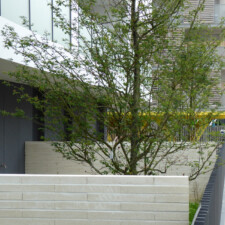 87 Logements à Gennevilliers (92) : Atelier 3 architecture à Paris (75011) - Briques BlocsStar Am180 Structurelles Lisses Ton Pierre