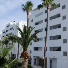 Architecte Carlos FERRATER Brique à Maçonner